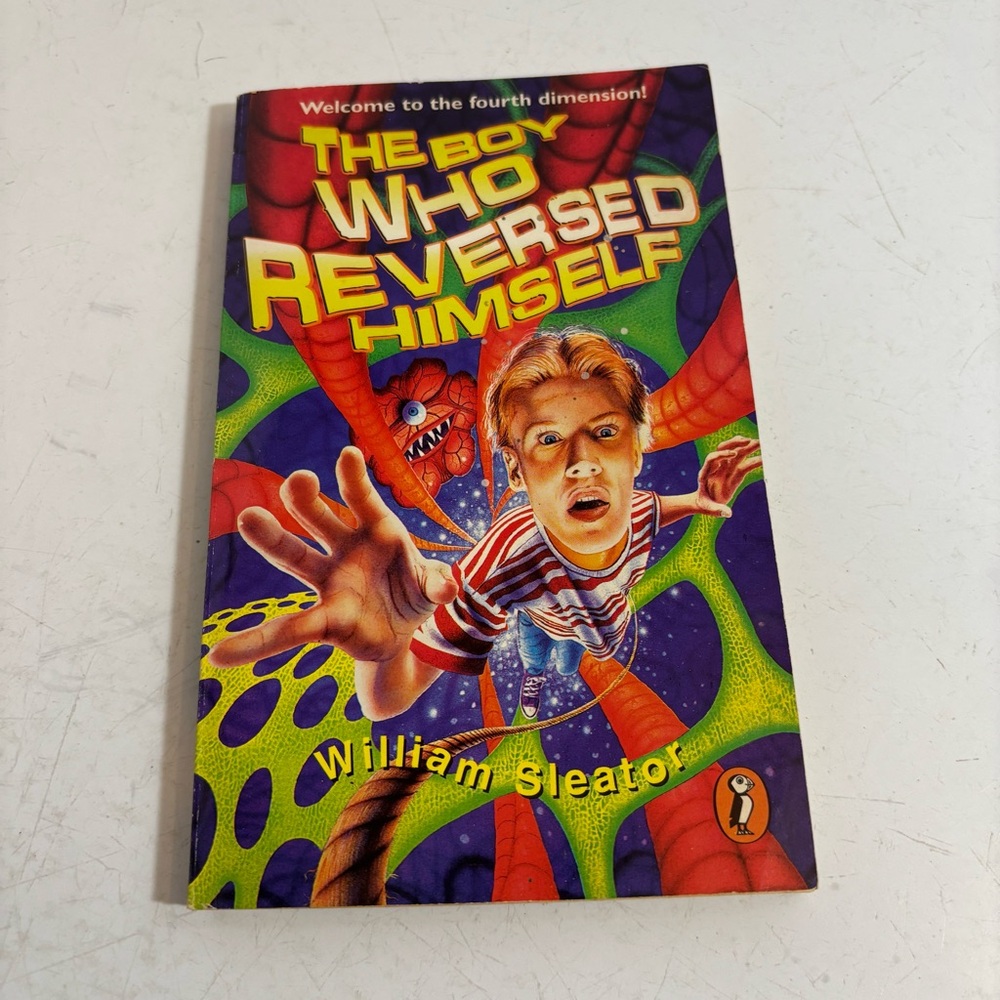 Vintage The Boy Who Reversed‎ Himself paperback novel book - Fine